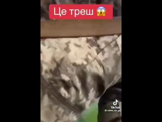 porn очередное душераздирающее видео из украины появилось в сети hd