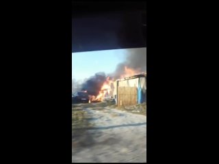 porn в новосибирске поселок ленинский моральный урод поджог молодые видео от зоозащита helpninsk зоополиция hd