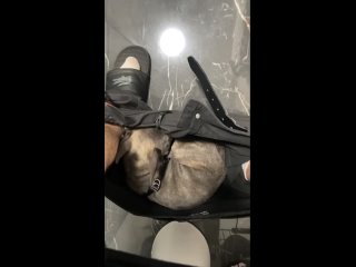 porn выбрал самое удобное и уютное место в доме hd
