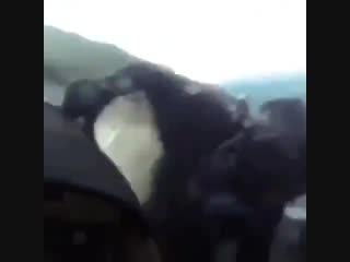 porn ох уж этот ярик там все остались живы hd