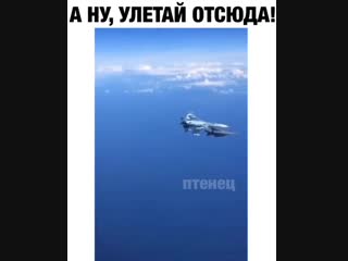 porn в сети появилось видео красивого маневра су 27 россии самолет жестко отогнал истребитель нато подошедший слишком hd