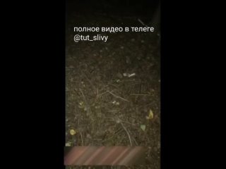 porn либо я тебя убью нахй либо раздевайся в лесу заставил раздеться студентка школьница заставил сосать сосет минет hd