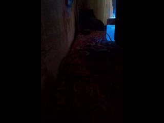 porn соседка шлюха тупая проснулась началось недотрах веселье дикий орет как хочет hd