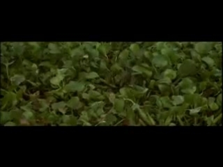 porn ace ventura 2 when nature calls когда природа зовет eng in english no subs 1995 hd