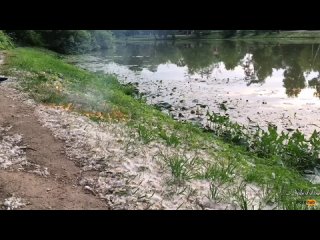 porn freya stein pov deepthroat sloppy blowjob from hot girlon nature swallows cum freya pornhub hd