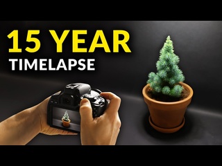 porn я снимал растения на протяжении 18 лет подборка покадровой съемки i filmed plants for 18 years time lapse compilation hd