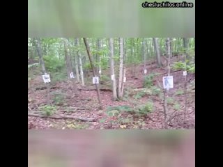 porn в лесу были найдены объявления о пропавших без вести все они были развешаны на деревьях их было о hd