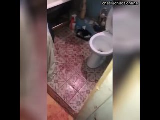 porn звериное ебашилово на вписке в подмосковье сначала зумеры культурно отдыхали стараясь держаться д hd