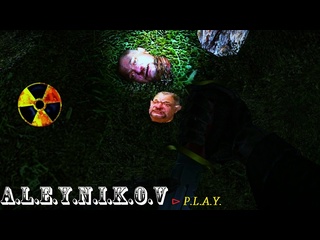 porn продолжим s t a l k e r ogsr стрим 10 идем на север возращение шрама 2 hd