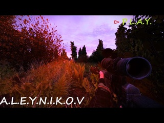 porn продолжим s t a l k e r ogsr стрим 12 идем дальше по сюжету возращение шрама 2 hd