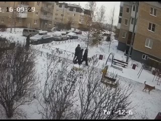 porn в питере молодые без поводка и намордника разорвала маленького пса и покусала его хозяина hd