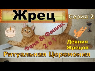 porn жрец ритуальная церемония серия 2 деяния жрецов кот феня он же феникс hd