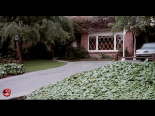porn табу 2 taboo 2 запрет 2 1982 порно фильмы с русским переводом hd