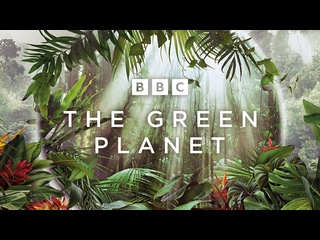 porn bbc зелёная планета bbc the green planet 1 серия тропические миры 2022 1080p hd