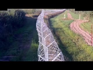 porn беларусские пограничники попались на порче забора на границе с литвой hd