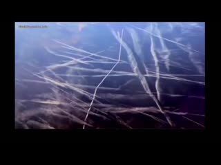 porn сумасшедшие сектанты сошли с ума пришло время их остановить hd