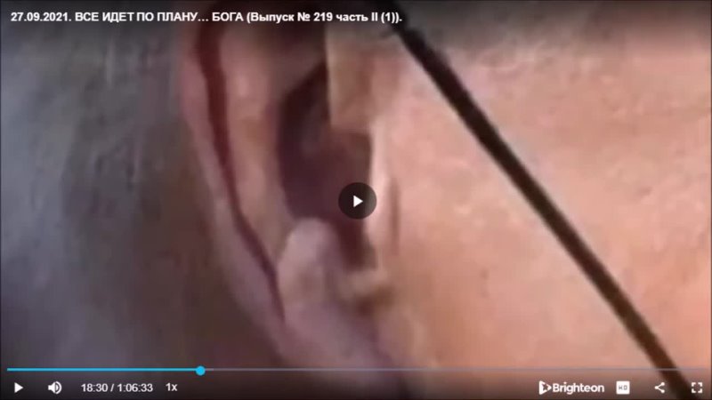 porn много важных новостей кто прячется под маскои баидена какие террористы убивают экономики и др hd
