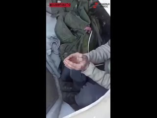 porn в соцсетях появилось видео на котором дагестанцы взяли в плен американского наемника и побили его тапком hd