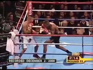 porn тринидад варгас felix trinidad vs fernando vargas highlights hd