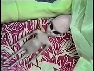 porn кыштымский карлик загадочное существо найденное на урале мутант или инопланетный пришелец hd