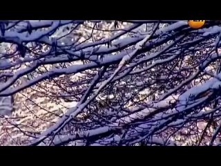 porn день космических историй морские дьяволы 7 серия 2012 hd