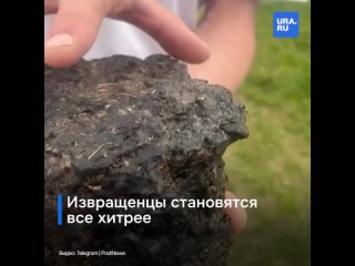 porn извращенцы кажется совсем сбрендили кто то спрятал камеру в камень на пляже hd