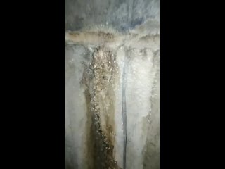 porn видео от орлец свободная орловская энциклопедия hd