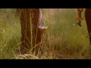 porn a real young girl 1976 eng hd