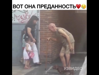 porn собачка рада сопровождать своего престарелого хозяина hd
