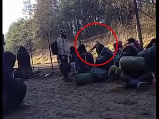 porn польские пограничники заявили что периодически слышат выстрелы на белорусской стороне границы hd