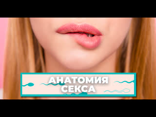 porn анатомия секса как устроена наша вагина hd