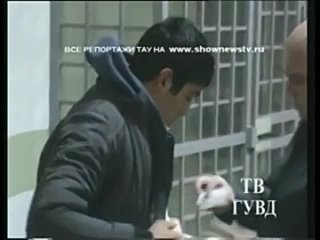 porn тау беглые узбеки забившие соплеменника камнями попались на урале hd