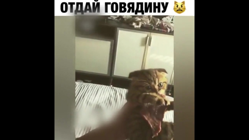 porn внутри него настоящий зверь подрастёт немного и hd