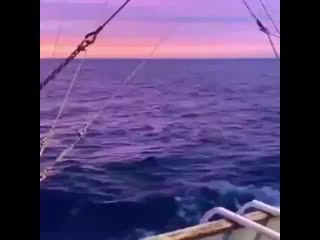 porn young sailor wasnt sure about regarding his future job he requested me to ask 480 x 480 mp4 hd