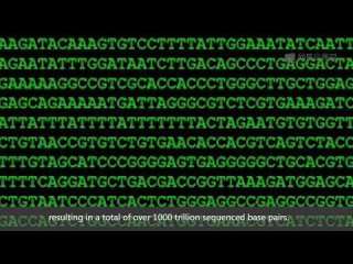 porn bioinformatics introduction and methods 生物信息学 导论与方法 hd