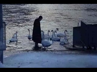 porn невыносимая легкость бытия the unbearable lightness of being 1988 г сша эротическая ретро драма лесби фильм hd