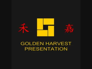 porn 1978 игра смерти l game of porn hd 720 брюс ли l bruce lee hd