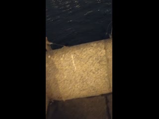 porn sex vid 20200421 010216 hd