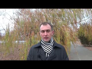 porn жители камышина обратились к чиновникам с просьбой разморозить проект 90 х и запустить в городе троллейбусы hd