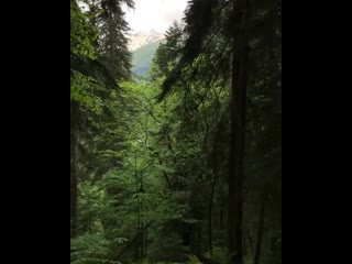 porn самоизоляция забита магомедшарипова hd