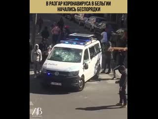 porn в разгар коронавируса в бельгии начались hd