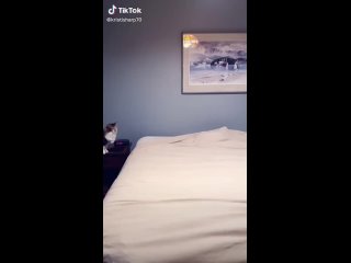 porn помогает перед сном стелить постель hd
