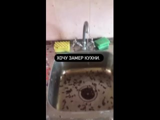 porn бабушка собралась сдавать квартиру с интересными соседями hd