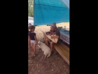 porn видео от поселение родовых поместий радужное у медведицы hd