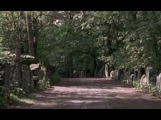 porn черное солнце сс мифологические предпосылки национал социализма the occult roots of nazism ss германия 2003 hd
