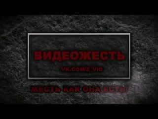 porn последствия внедрения угря в анус с видеожесть hd