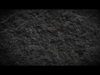 porn мать с ребенком остались под грузовиком видеожесть hd