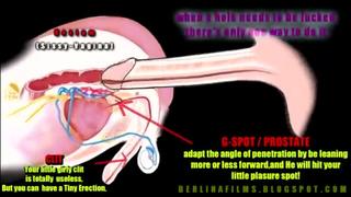 porn как достигнуть анальный оргазм обязательно к просмотру sissy shemale trap orgasm cum sex slut hd