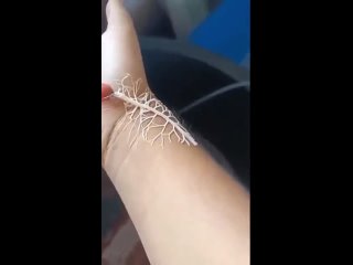 porn неведомая хтонь пытается сожрать руку человека hd