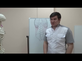 porn sls косые мышцы молодые как тренировать и растягивать hd